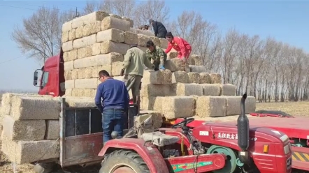 为什么现在更多机手选择茎穗兼收，看看现在的玉米秸秆价格您就知