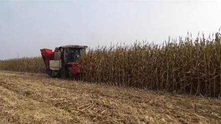 金大丰玉米机今年销量是否可以继续保持