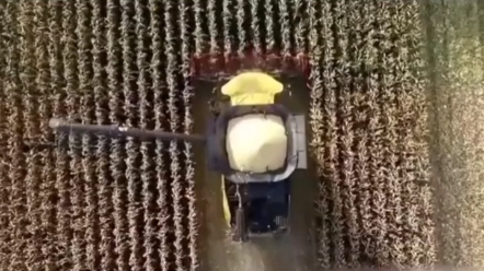 把玉米粒变成玉米面，这款机器做到了。