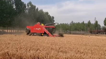 消逝的农机品牌-山东大丰