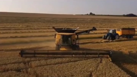 这款黄色巨无霸您觉得怎么样？