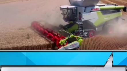 小麦收割农活信息