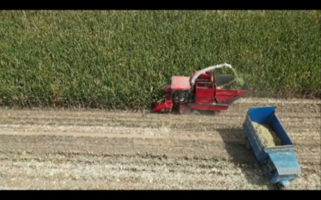 2023年，哪些农机收益高？第三名:茎穗兼收玉米收获机。