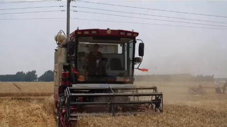 九公斤小麦收割机怎么选中联收获vs江苏沃德