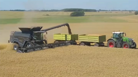 小麦收割奇葩年年有，今年特别多