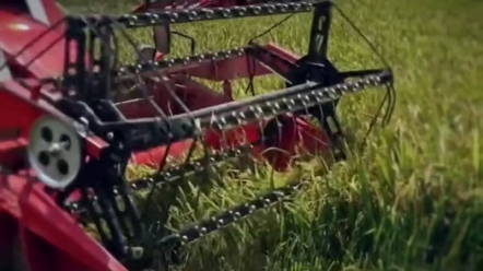 雷沃rg50s超越版，水稻霸王日割百亩更耐久更强悍