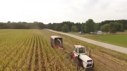 拖拉机做青贮，你见过吗？