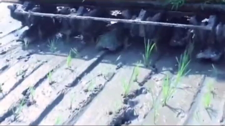 星月神2ZG-6S高速插秧机，小小身材大大的梦