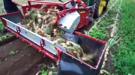 这款机器收起洋葱来，真是省时、省力、省心