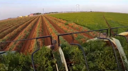 【农机大博览】最新视频来袭，快来看看吧！