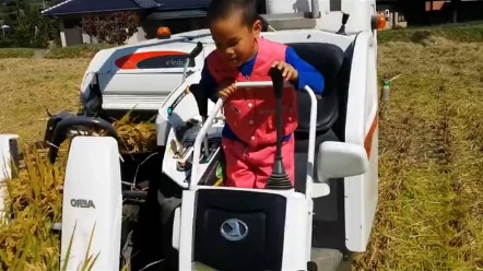 日本人培养8岁小孩，驾驶水稻收割机（三）