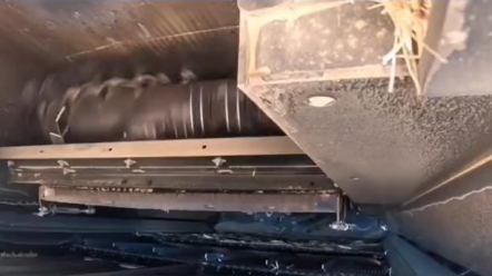 玉米籽粒机脱粒过程演示