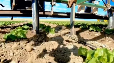 土耳其的小姐姐怎样看待我国农用机械