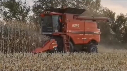 2022年玉米籽粒收获机销售排行榜