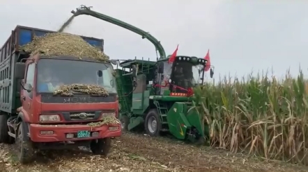 迪马玉米机您觉得怎么样