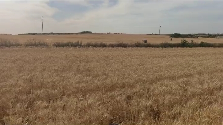 三夏麦收要注意防火