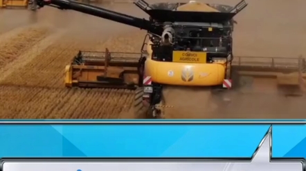 大型谷物联合收割机进行麦收作业