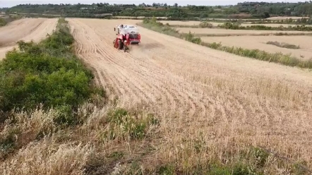 如何计算亩数面积