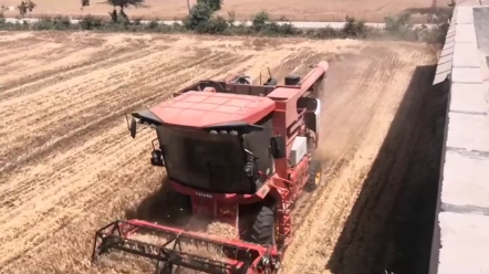 山西省小麦玉米籽粒联合收割机怎样买更划算