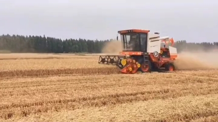 山东巨明4LZ-8B小麦收割机，这气势你觉得如何