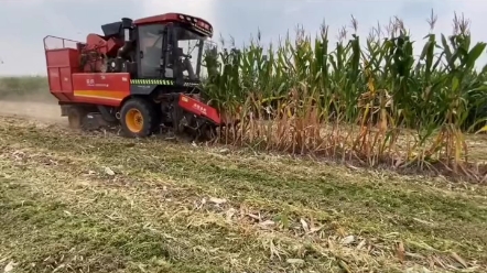 英虎玉米收割机行走的造钱机