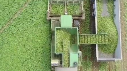 来看这款机器在收割什么？最后几秒超治愈。