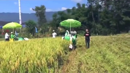 丘陵地区干活小能手