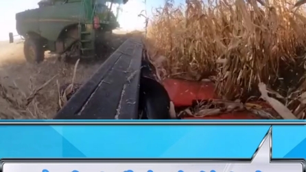 约翰迪尔换割台收玉米籽粒