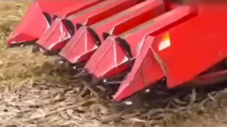 福田雷沃，玉米机中的战斗机