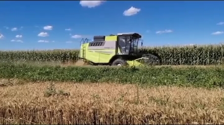 五月四日农活信息发布，今日青年节，弘扬五四精神，祝大家节日快