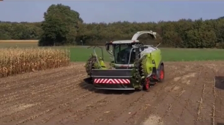 德国收割青贮玉米竟然如此高效快捷