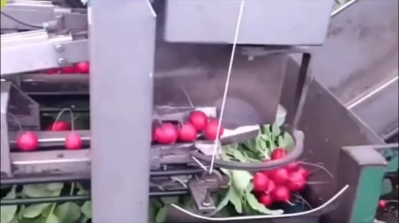 有谁能拒绝这样子的红心小可爱呢？