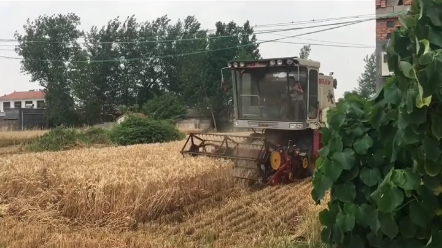 升级国四都增加哪些成本你知道吗？