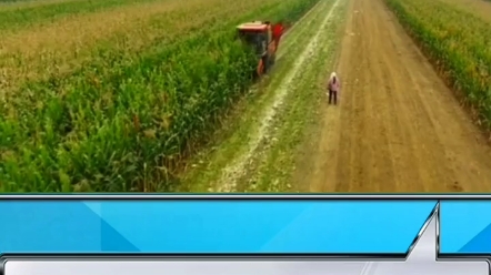 2022年安徽农机补贴政策