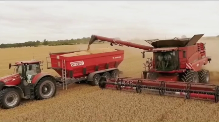 美国是怎样用收割机在山顶悬崖收割作业