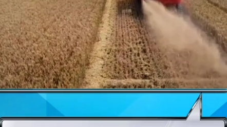 小麦机粉碎机保养小技巧