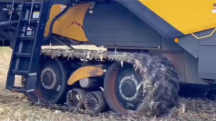 2022年黑龙江收割玉米现，美版克拉斯760TT震撼收获