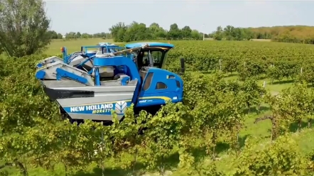 葡萄收获机你见过吗？制作葡萄酒第一步