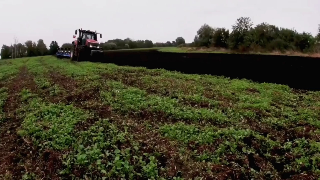 听说全球75%的这种土地都在乌克兰？要不是它在打仗，我就拿行