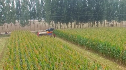 消逝的农机品牌-山东宁联