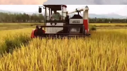 【老张说农机】最新视频已上线，快来围观！