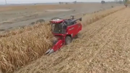 河南省茎穗兼收玉米机与摘穗剥皮玉米机补贴的差别