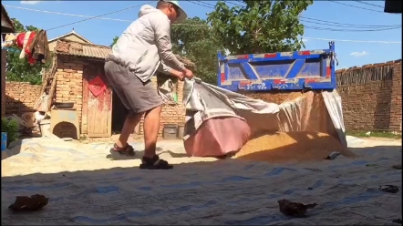 种粮农资补贴再下达，您可以领取吗？