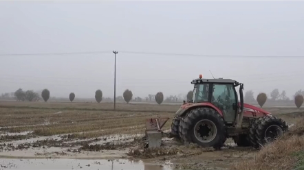 麦赛福格森5712SL 水田玩的很开心