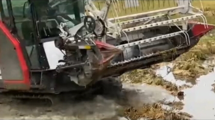 非常少见的拖拉机迎亲队伍