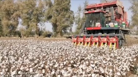 你知道是什么时候有了国产采棉机吗