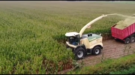 国外收割作业实况，粮车司机师傅真稳