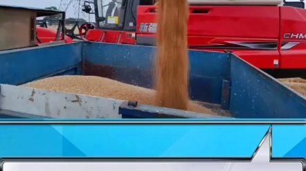 小麦收割农活信息