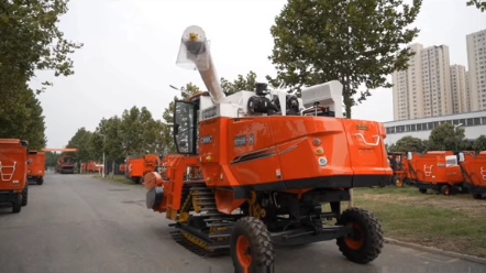 国货之光 出口品质 前履后轮新疆-8 来一起看看吧