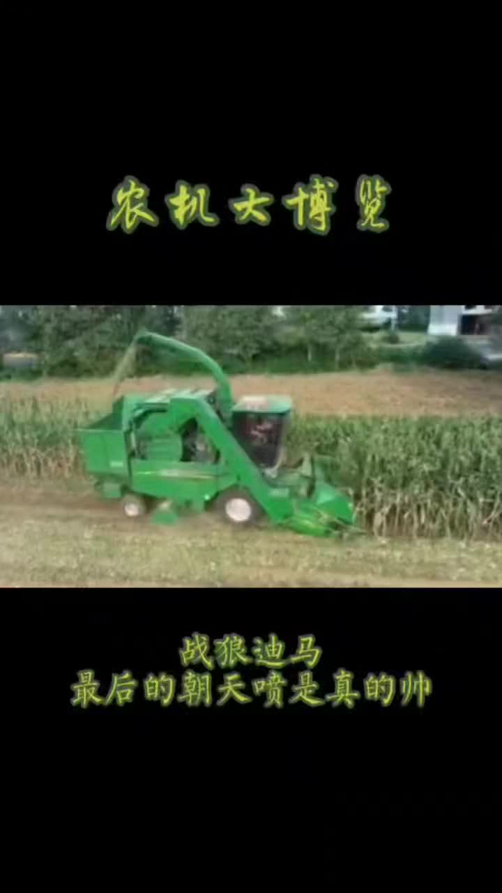 给你们表演个迪马朝天喷